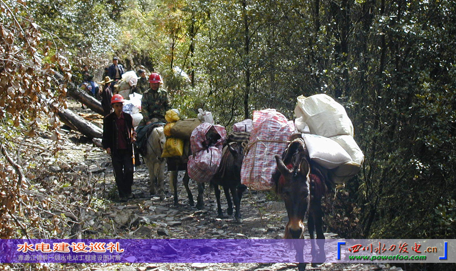 ���ͼƬ�鿴��ҳ